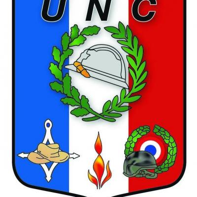 Logo unc2011